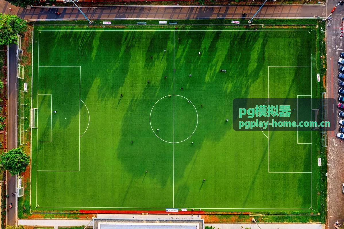 pg模拟器配置模板资源包封面